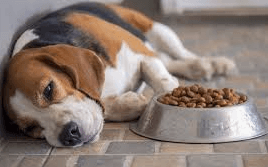 Certain Foods May Cause Cancer