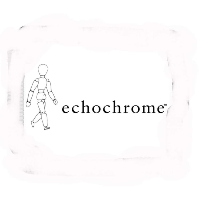 playstation echochrome