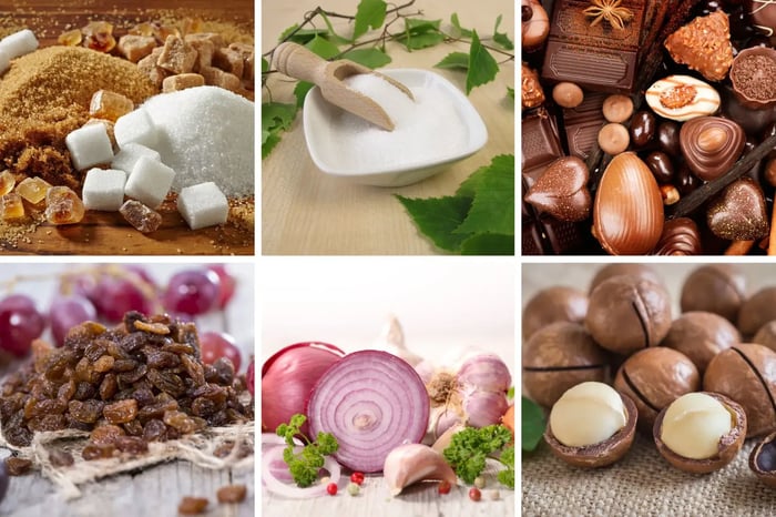 Collage of common toxic ingredients for dogs including sugar, artificial sweeteners, chocolate, raisins, grapes, onions, and macadamia nuts.