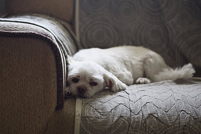 couch slipcovers