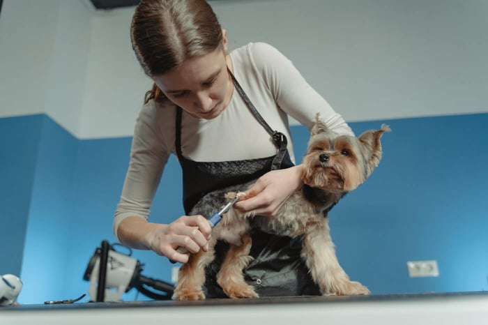 7 Tips on Bathing Your Dog This Winter in 2024