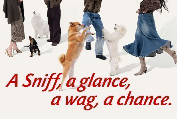 Celebrate Love This Valentine’s Day with FunnyFuzzy!