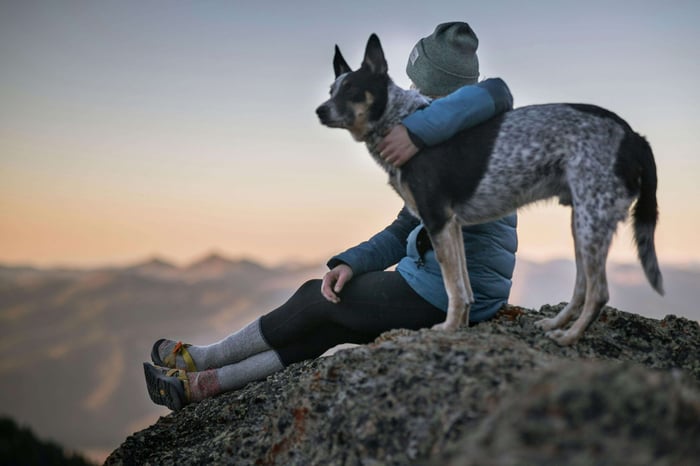Travel with Pets
