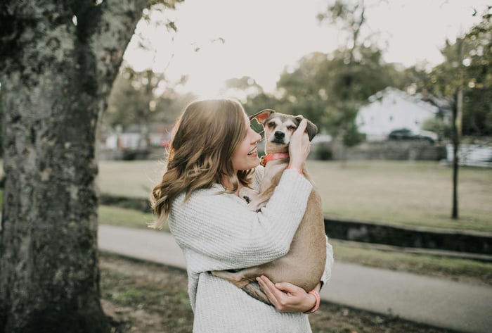 Travel with Pets
