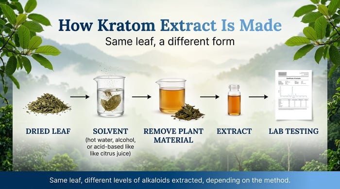 Kratom Liquid Extract Flow Chart