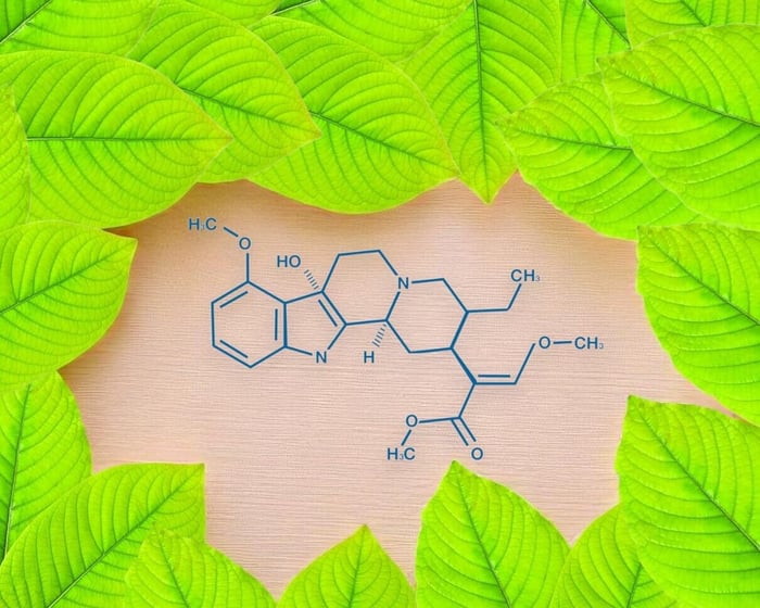 Exploring the Power of 7-Hydroxymitragynine