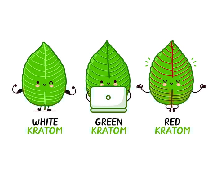 The Most Potent Kratom Strains of the Year: What’s Trending?