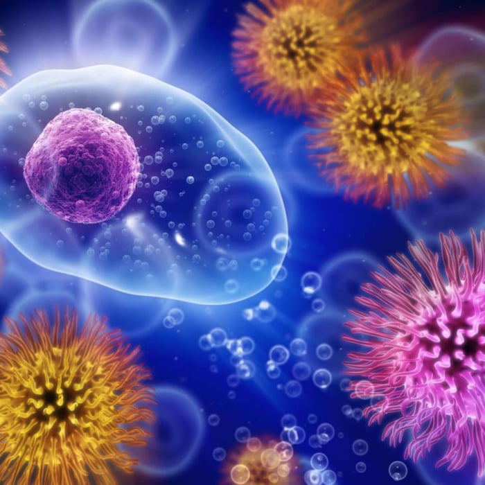 Eating for Immunity