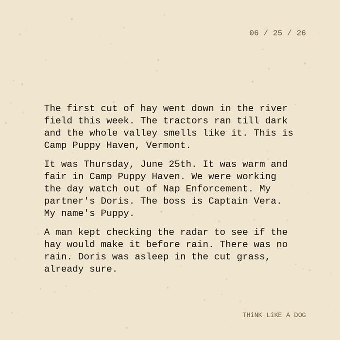 Typewriter-style note on cream paper, dated 06/25/26. Three paragraphs of monospace text reading: "The first cut of hay went down in the river field this week. The tractors ran till dark and the whole valley smells like it. This is Camp Puppy Haven, Vermont. It was Thursday, June 25th. It was warm and fair in Camp Puppy Haven. We were working the day watch out of Nap Enforcement. My partner's Doris. The boss is Captain Vera. My name's Puppy. A man kept checking the radar to see if the hay would make it before rain. There was no rain. Doris was asleep in the cut grass, already sure." Signed THiNK LiKE A DOG.