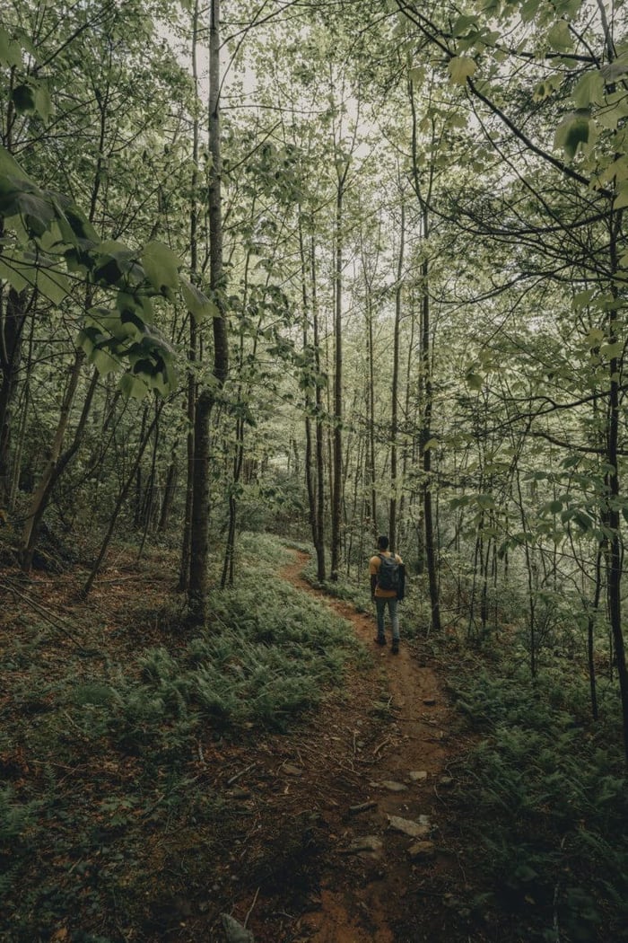 An Alternate Path