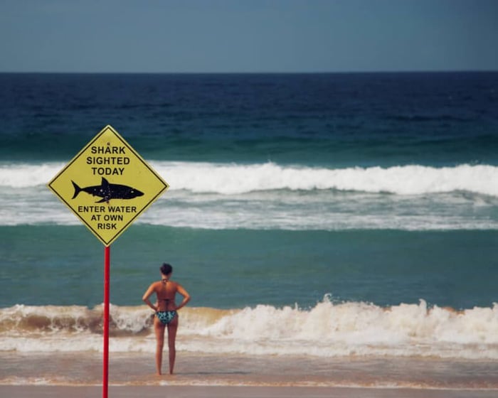 Identifying Risks