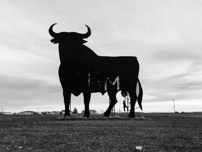 TORO!