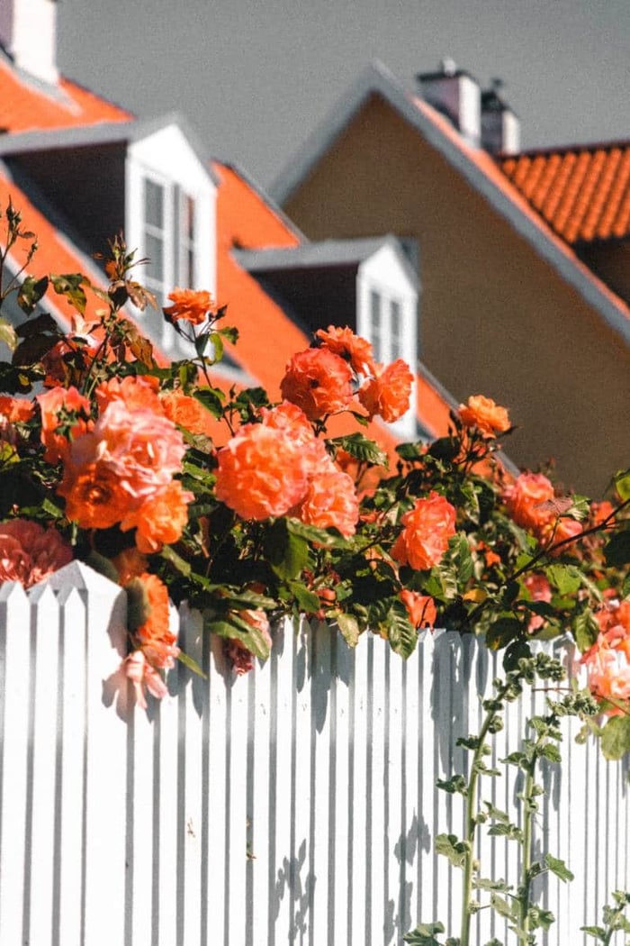 Business Continuity Begins at Home
