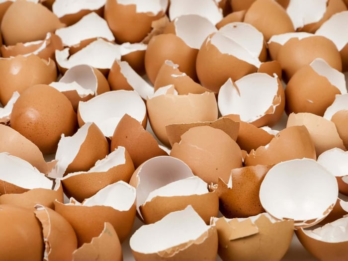 egg shells