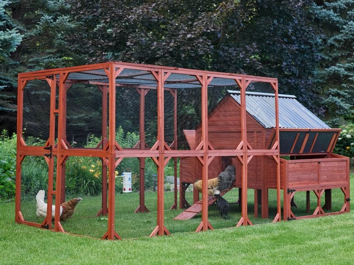 Chicken Coop Upgrades