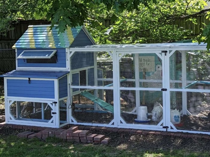 prepare the ground for a chicken coop