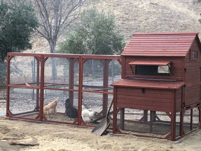 prepare the ground for a chicken coop