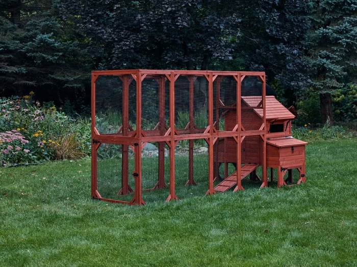 chicken runs