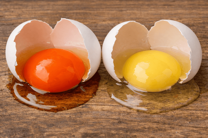 Backyard Eggs vs Store Bought Eggs