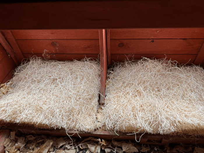 Chicken Coop Accessories