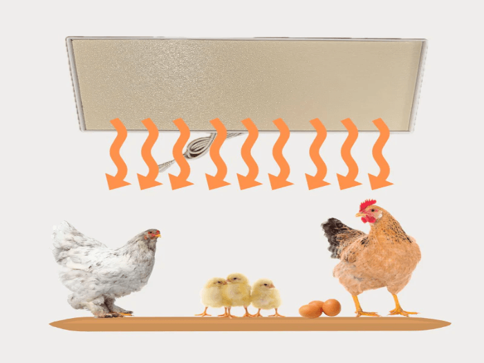 Chicken Coop Heater