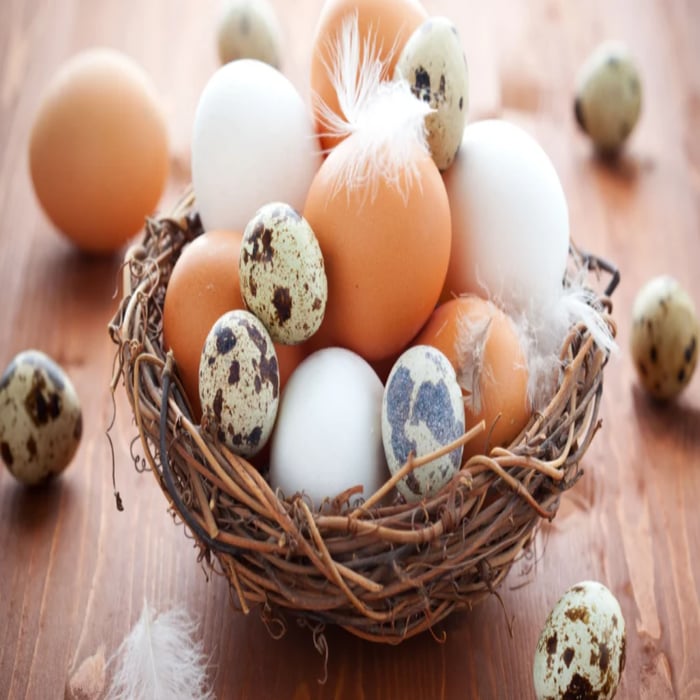 Chicken Eggs vs Quail Eggs