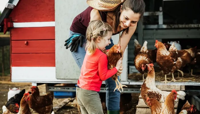17 Best Gifts For Chicken Lovers 2024
