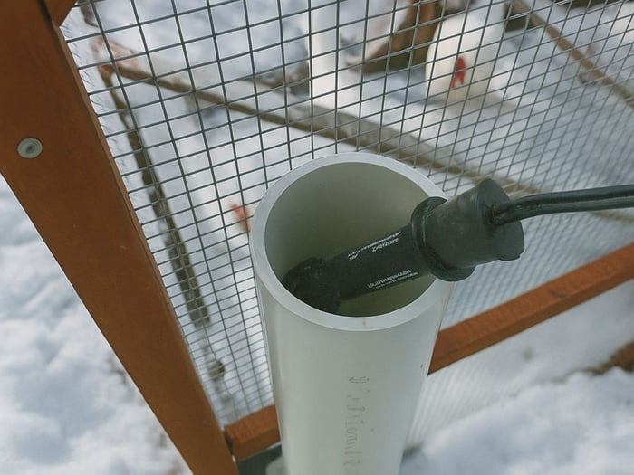 Heated Chicken Waterer: Keep Your Flock Hydrated All Winter Long
