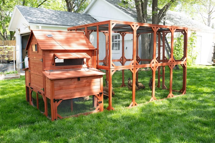 How to Prepare the Ground for A Chicken Coop