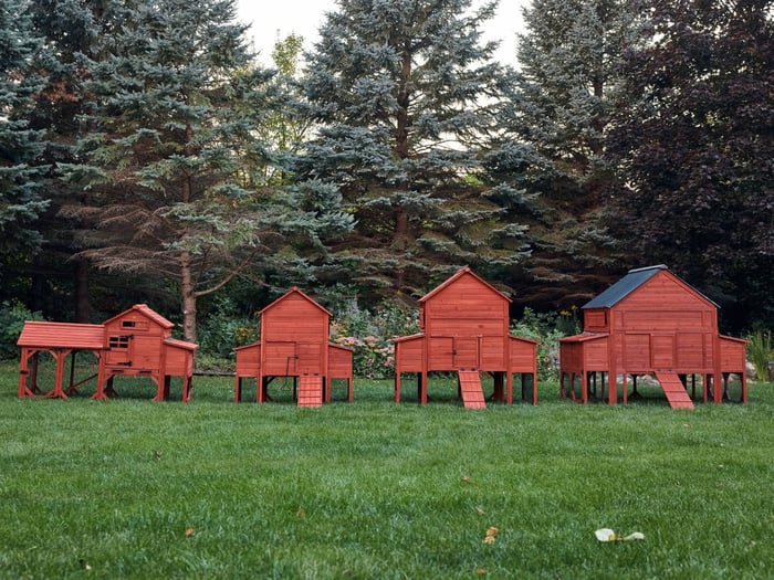 Our Chicken Coops: Find the Best Fit for Your Flock