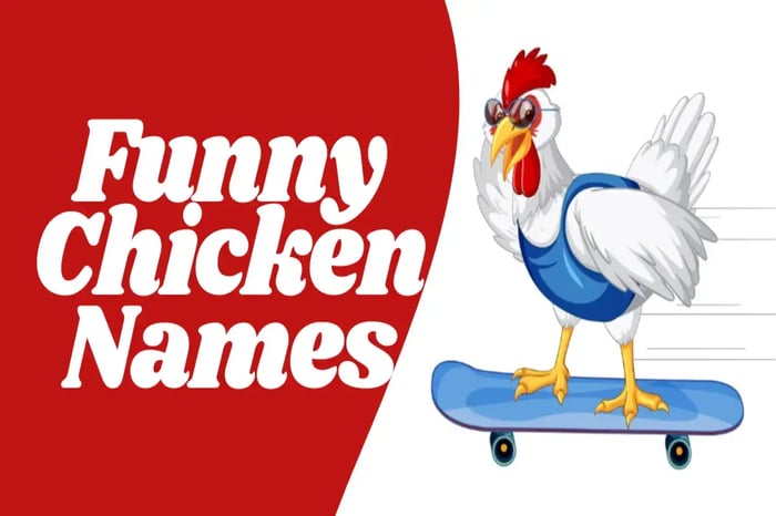 Funny Chicken Names