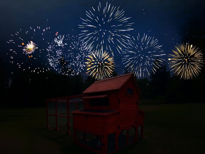 fireworks and chickens