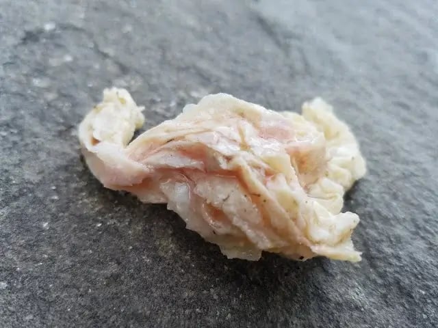 Lash Egg