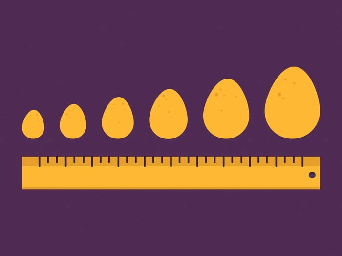 Monitoring Egg Production and Size