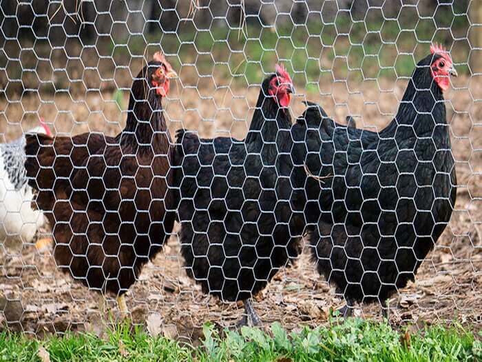 Perimeter Security Fencing and Barriers That Work