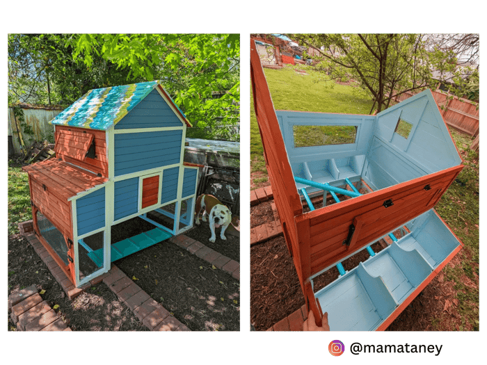 DIY Your Coop