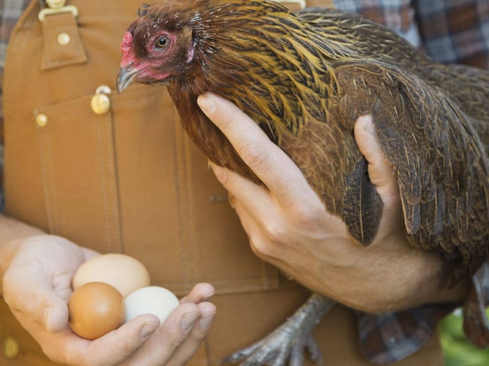 What Causes A Lash Egg
