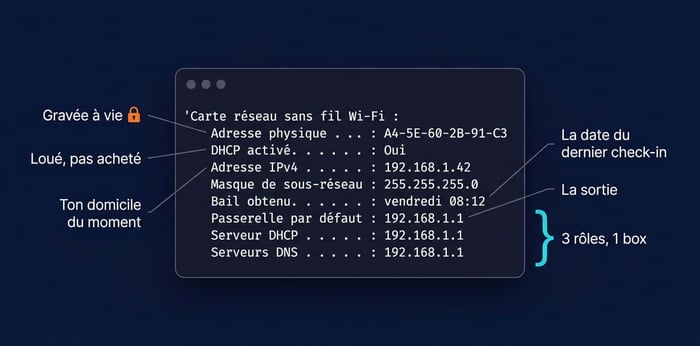 résultat de la commande ipconfig /all annoté : adresse MAC, bail DHCP, passerelle et DNS expliqués