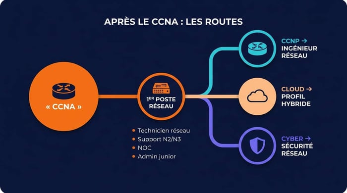 roadmap après le ccna : premier poste réseau puis spécialisation vers ccnp, cloud ou cybersécurité