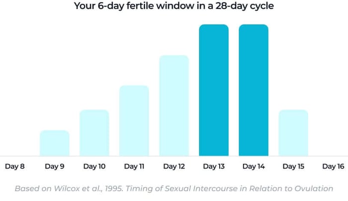 Bar chart showing the 6‑day fertile window in a 28‑day cycle, with conception probability rising from day 9 and peaking on days 13 and 14 before dropping again.