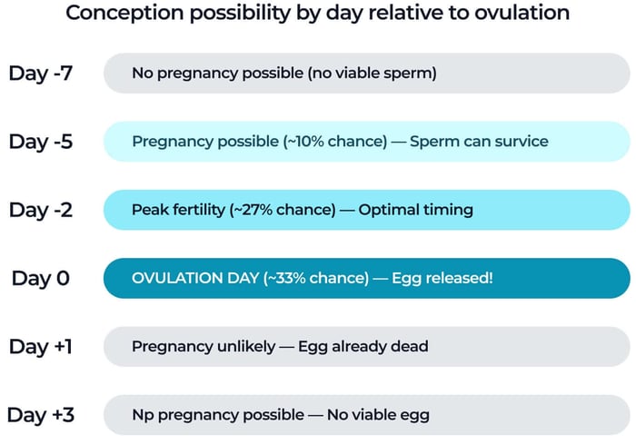 Conception likelihood by day relative to ovulation, showing pregnancy possible from about 5 days before ovulation, peaking around day -2 to day 0, and unlikely after day +1.