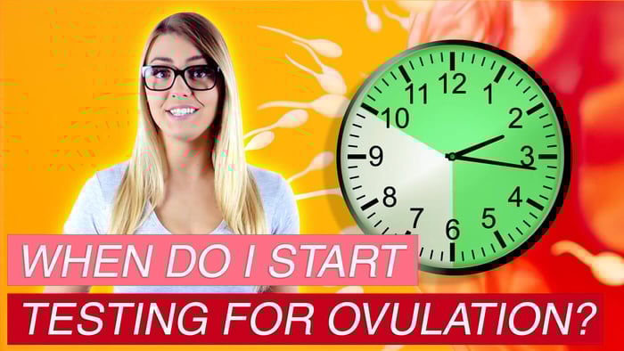Using ovulation tests to identify the most fertile days