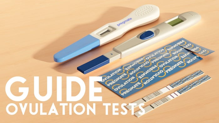 Guide to ovulation tests. Illustration of ovulation test strips showing positive and negative result
