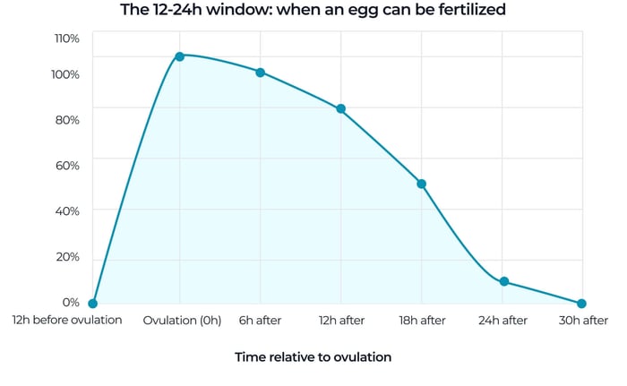 "Line graph of egg viability over time, showing a 12-24 hour window after ovulation when the egg can be fertilized before viability drops to zero.