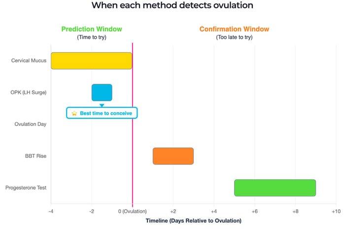 Timeline showing when cervical mucus, LH ovulation tests, BBT and progesterone blood tests detect ovulation, with prediction days before ovulation and confirmation days after.