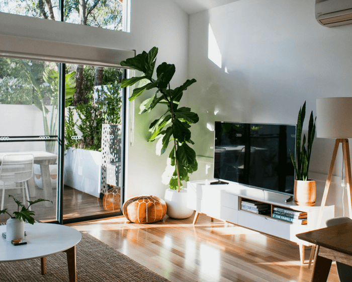 Memphis, TN flooring types