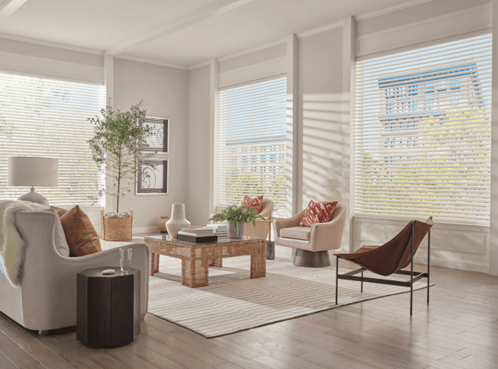 Hunter Douglas: Style, Safety, and Energy Savings You Can Feel