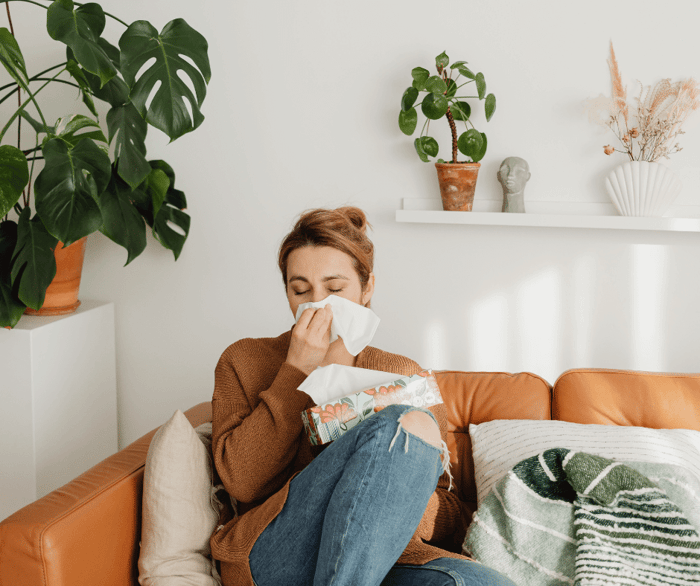 What is the Best Carpet for Allergies?