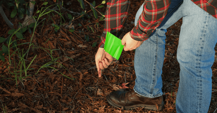 green high-gloss poly flag being placed in the ground