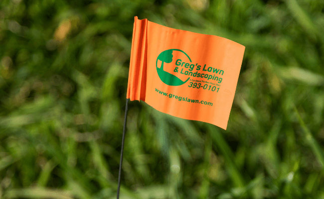 orange and green custom marking flag in grass
